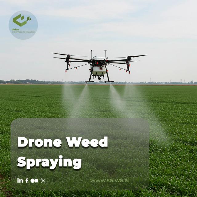 Drone Weed Spraying | Precision & Efficiency