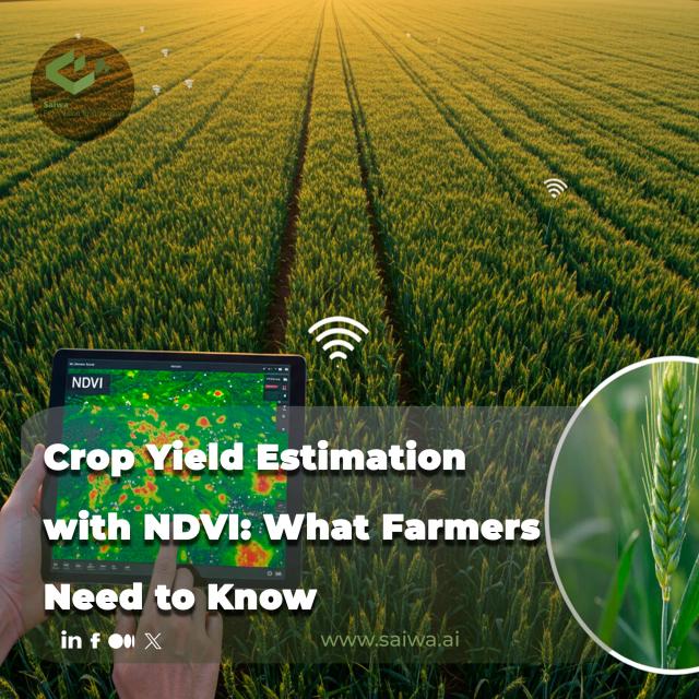 Crop Yield Estimation with NDVI: What Farmers Should Know