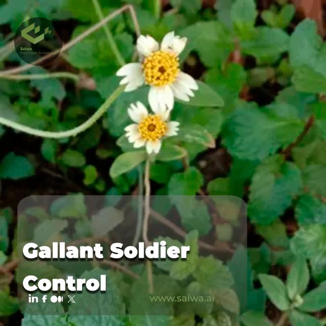 Gallant Soldier Control: Threats, Technologies, and How Sairone Leads the Way