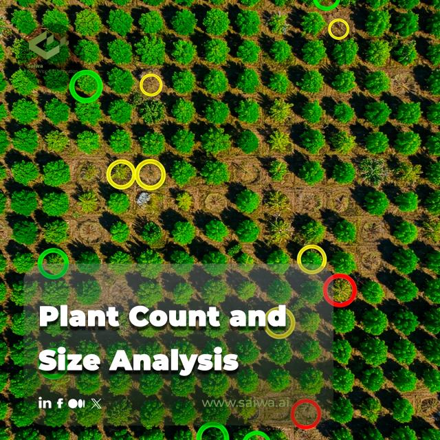 Plant Count and Size Analysis | Unlocking Yield Potential With Smart Monitoring