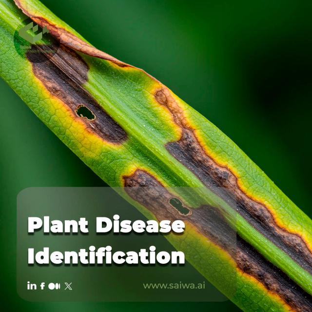 Plant Disease Identification and Control | A Complete Guide