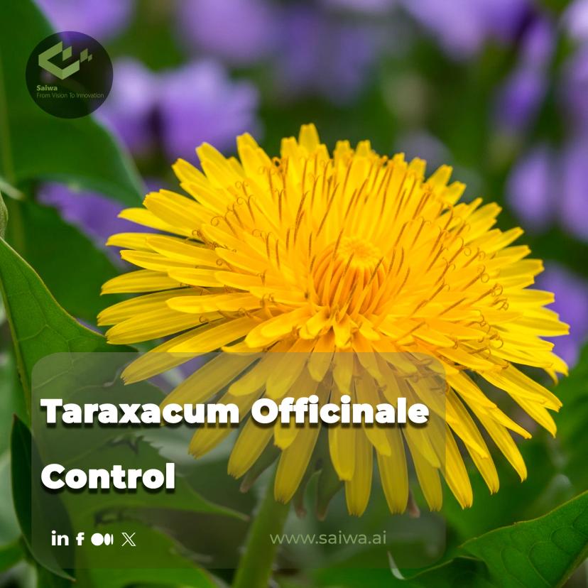 Taraxacum Officinale Control - Innovations in AI and Machine Learning