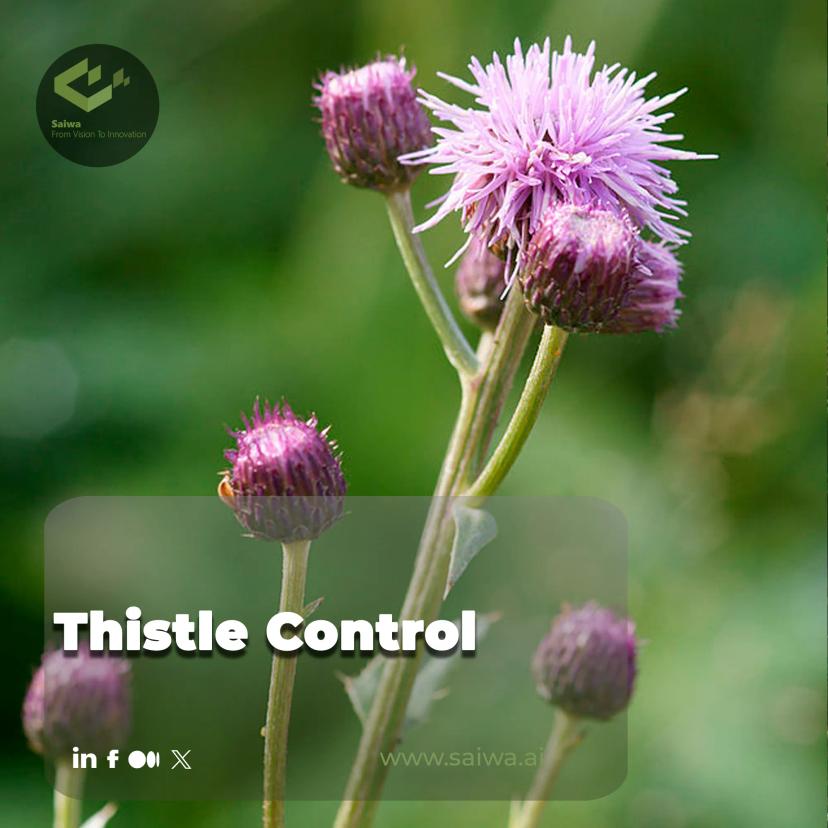 From Identification to Eradication: Use Advanced Technology to Control Thistle