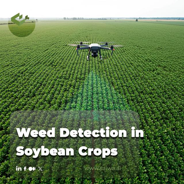 Weed Detection in Soybean Crops | Leveraging AI for Precision Agriculture