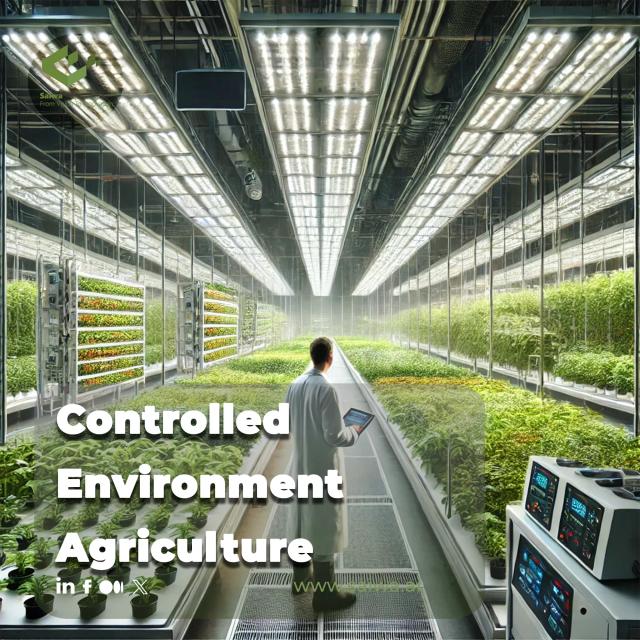 Unleashing the Potential of Controlled Environment Agriculture (CEA)