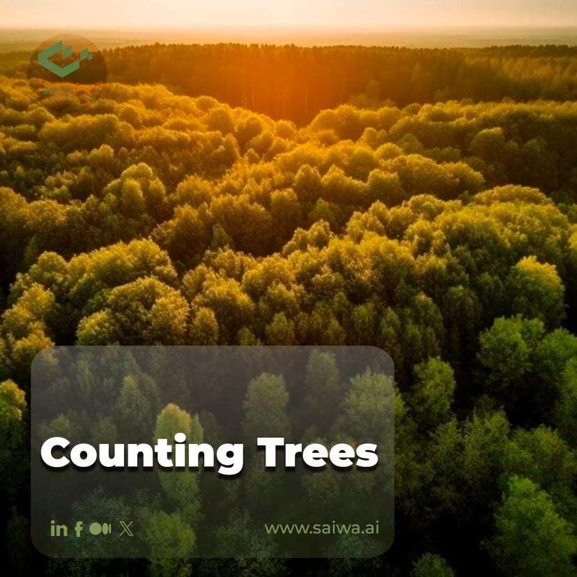 A Guide to Counting Trees | Quantifying Nature