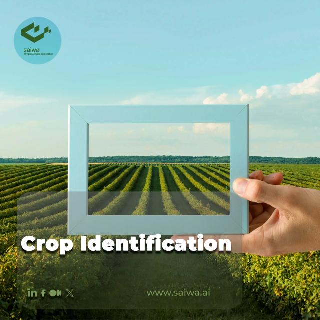 The Power of Crop Identification | Unlocking Agriculture's Potential