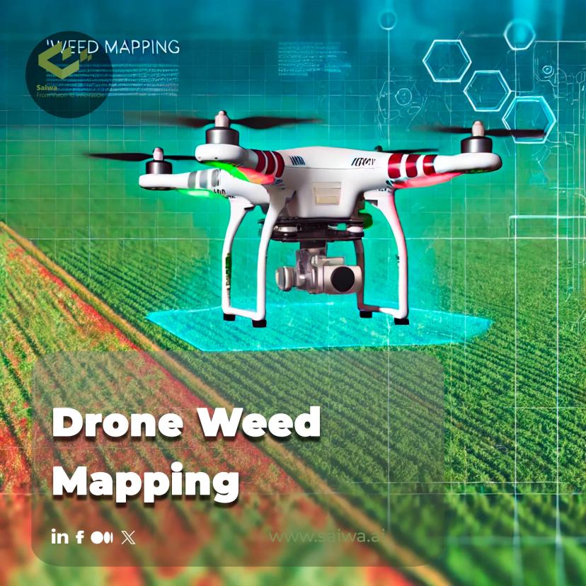 Drone Weed Mapping | A Game-Changer for Precision Agriculture