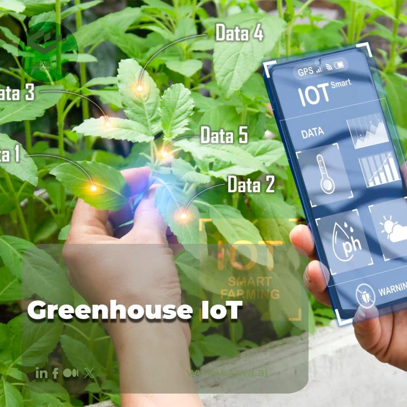 Greenhouse IoT Solutions | Smart Cultivation