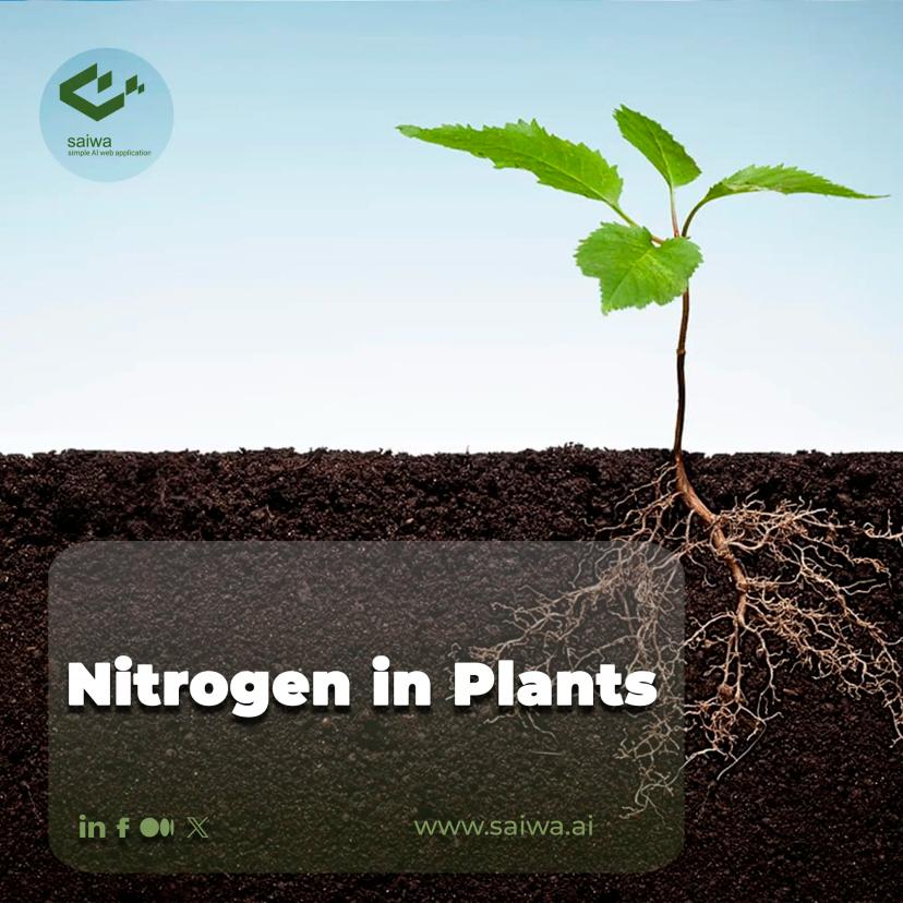 Uncovering the Vital Role of Nitrogen in Plants Growth | A Comprehensive Guide