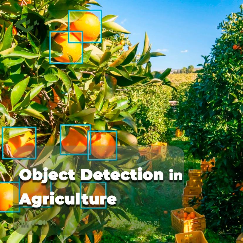 Object Detection in Agriculture