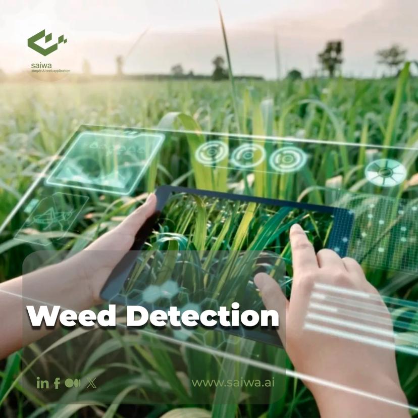 Weed Detection | Comprehensive overview