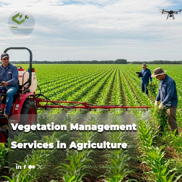 Vegetation Management Services in Agriculture: Enhancing Crop Health and Productivity