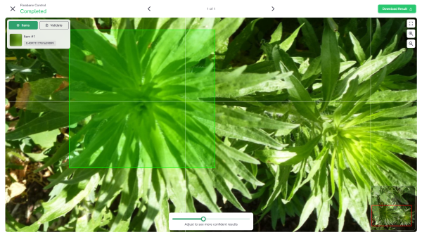 AI-Powered Weed Detection Analysis