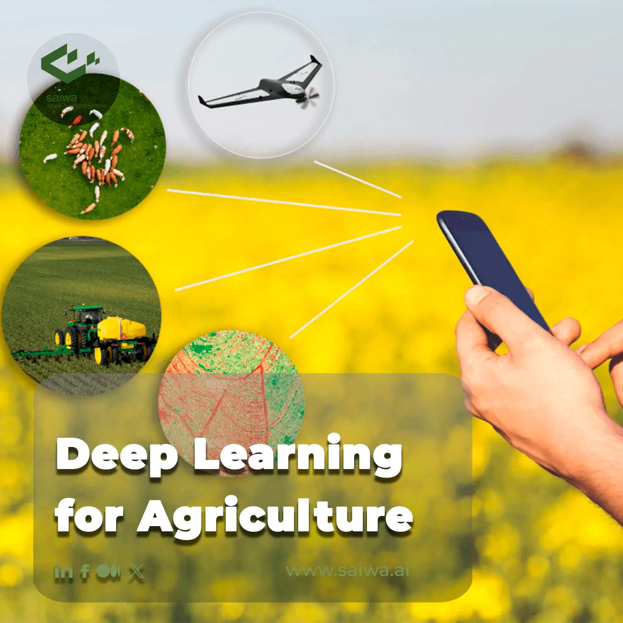 Deep Learning for Agriculture