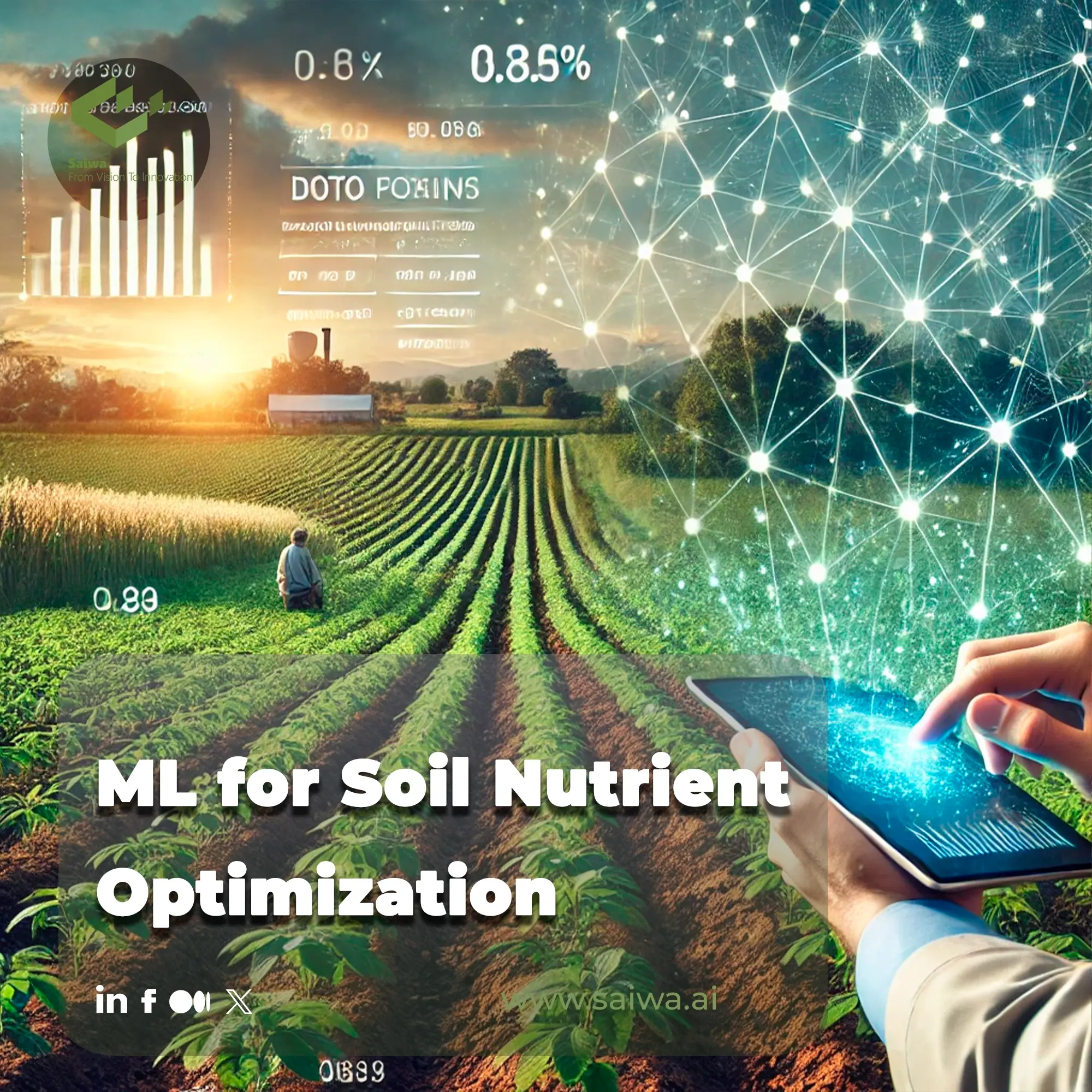 Machine Learning for Soil Nutrient Optimization