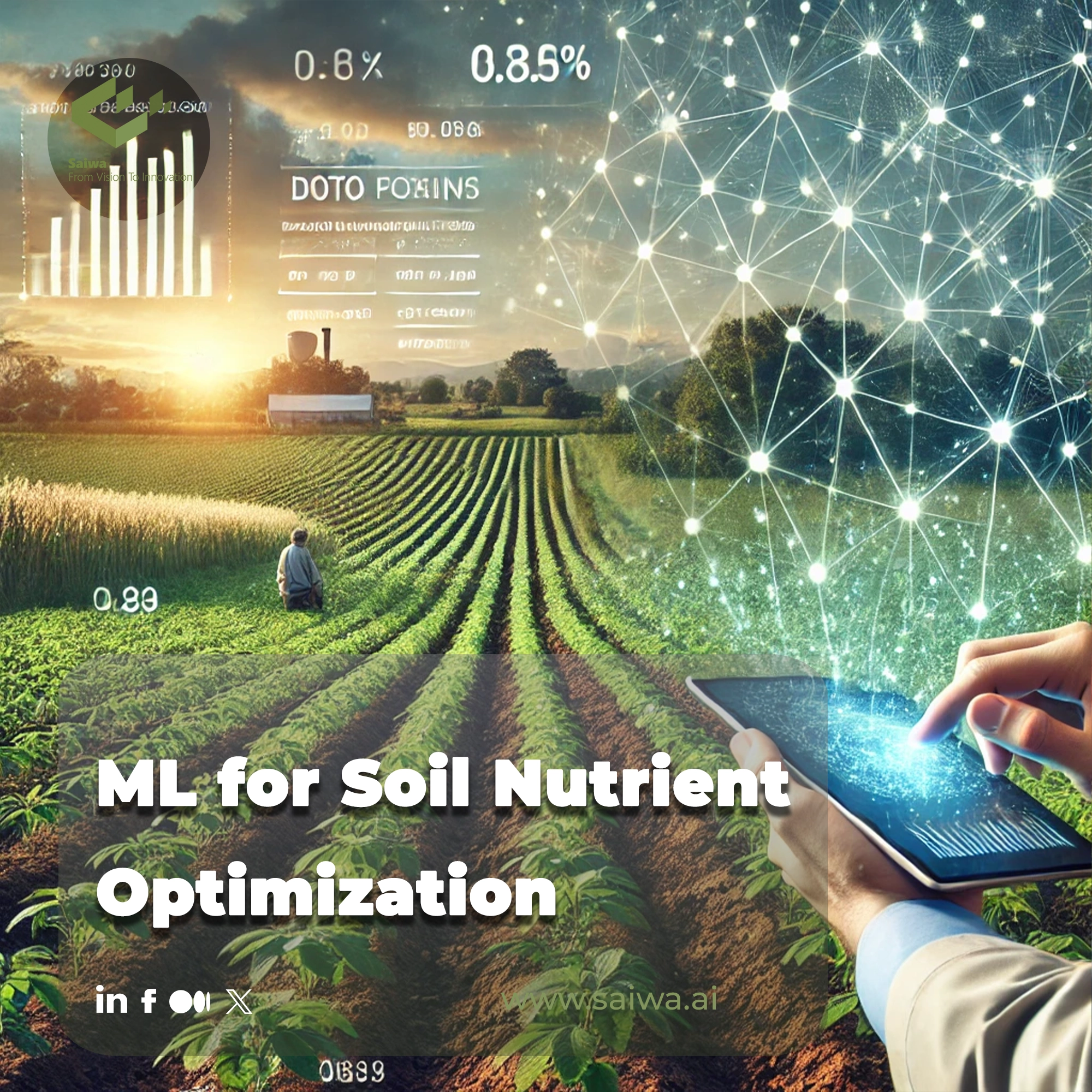 Machine Learning for Soil Nutrient Optimization