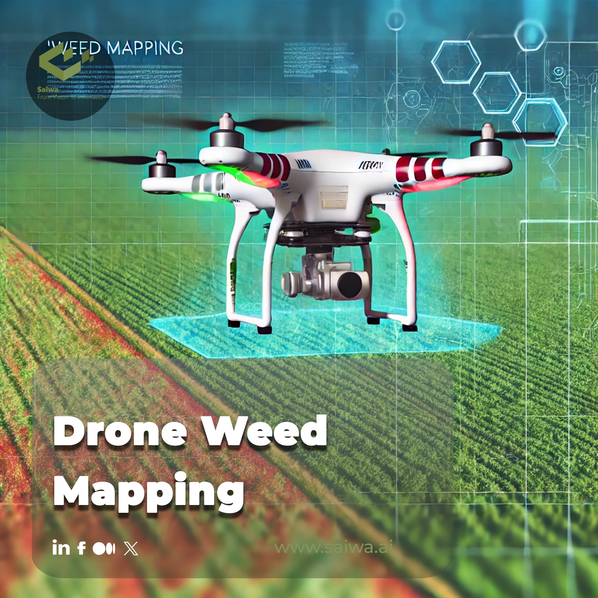 Drone Weed Mapping