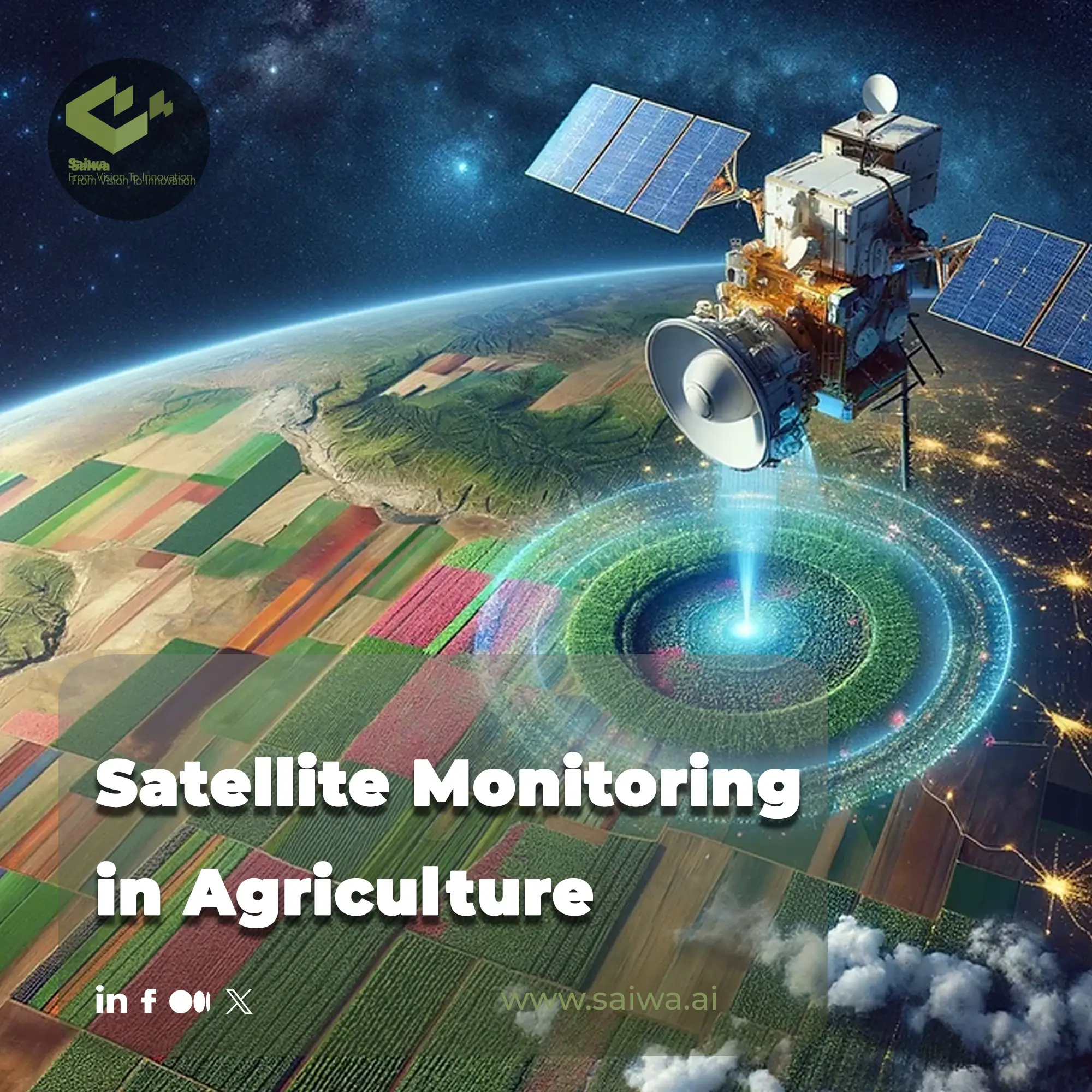 Satellite Monitoring in Agriculture