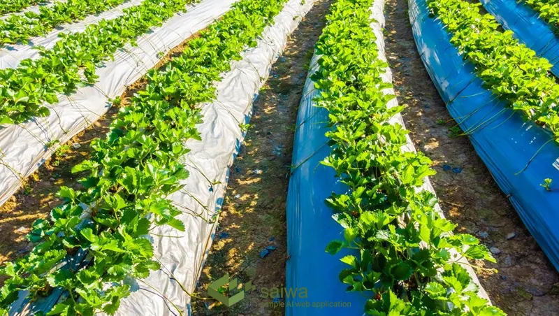 Benefits of Automated Agriculture Irrigation System