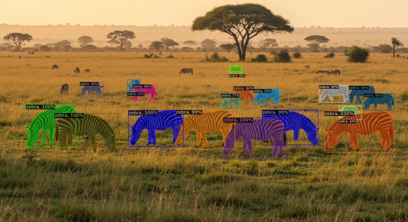 AI wildlife conservation online