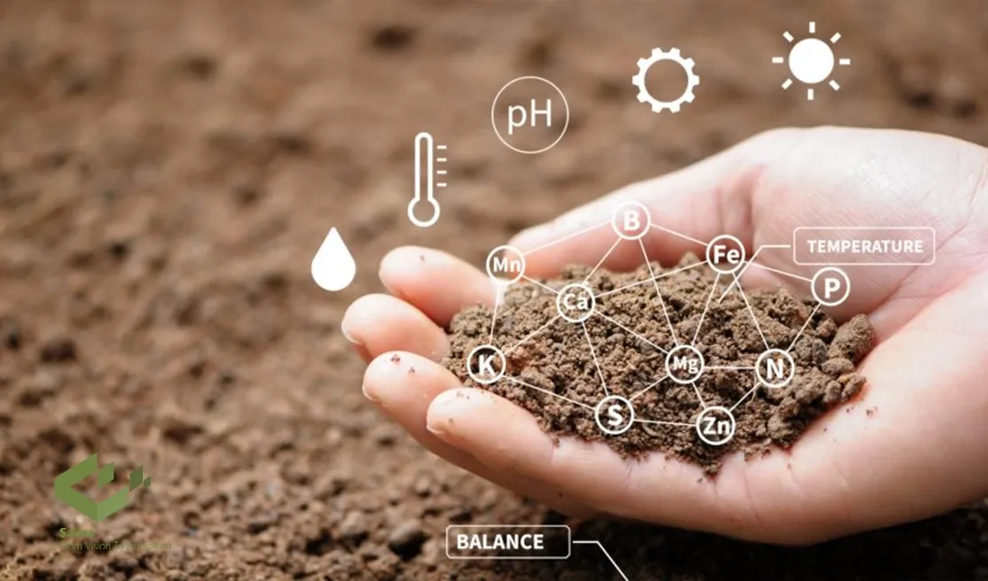 Advanced ML Techniques for Soil Nutrient Optimization.webp