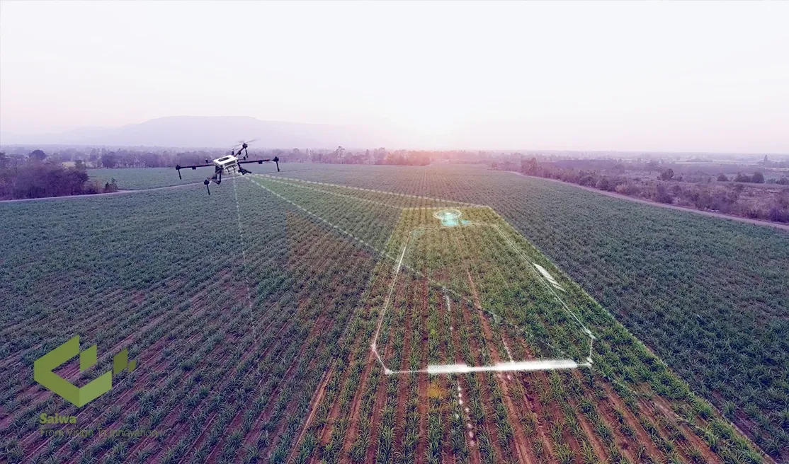 Benefits of Using Drones in Weed Mapping.webp