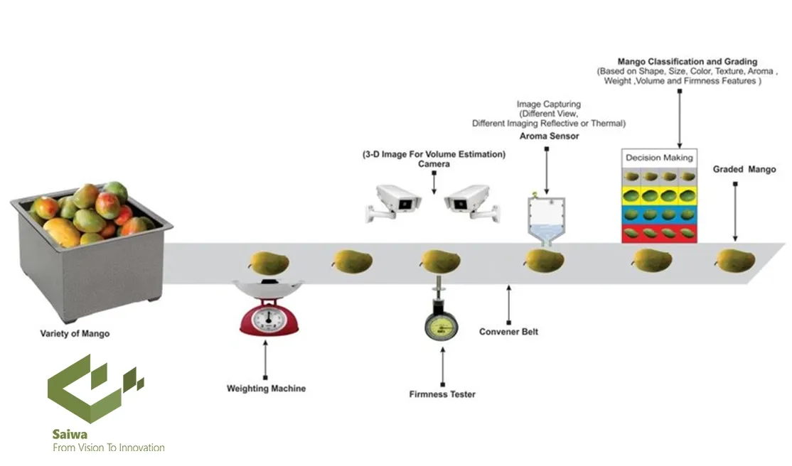 Classification Algorithms for Fruit Sorting.webp