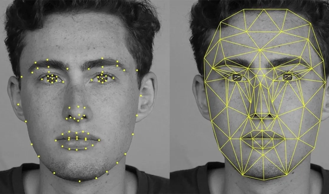 Comparison of Face Detection and Face Recognition.webp