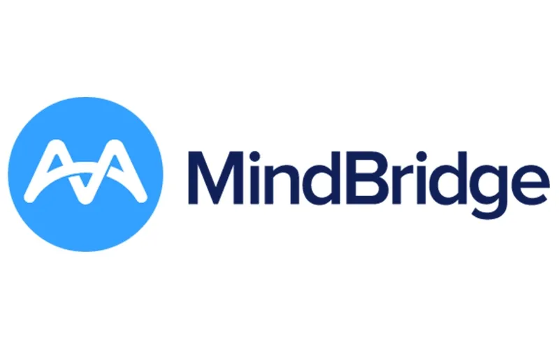 Mindbridge AI.webp