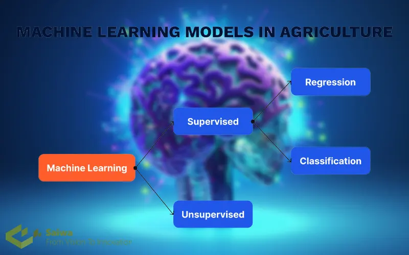 Machine learning approaches in agriculture