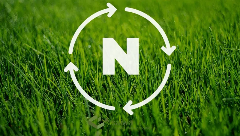 Why is Nitrogen Important to Plants.webp