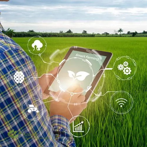How Machine Learning Can Be Used in Agriculture?