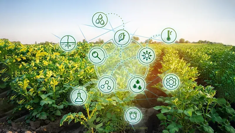 The Multifaceted Benefits of Predictive Analytics in Agriculture