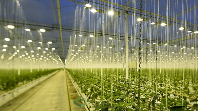 Benefits of AI-Powered Greenhouses