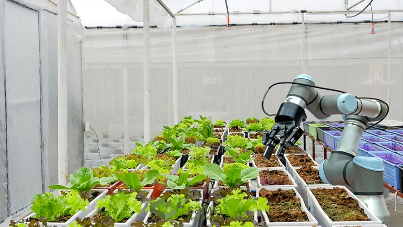 Robots for agriculture