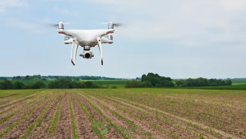 Precision Agriculture with Agriculture Drone Images