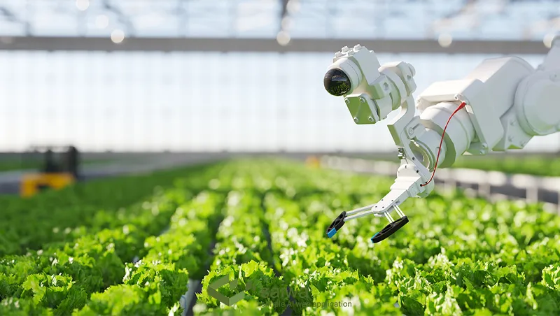 How does Automated Farming work?