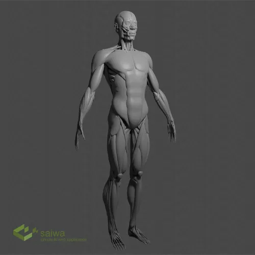 3D modeling of the human body